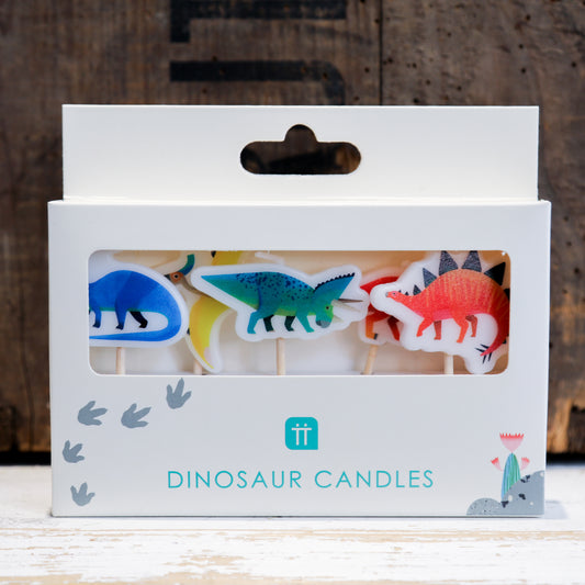 Dinosaur Birthday Cake Candles- Set of 5. Party